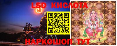 PSILOCYBIN Краснознаменск