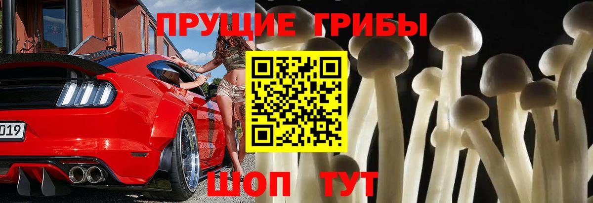 Псилоцибиновые грибы ЛСД  Вход с VPN  Трёхгорный 